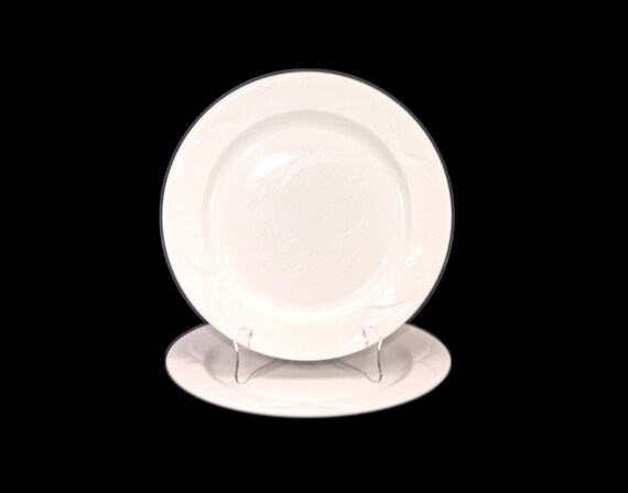 Amasar travesura Célula somatica Par de platos blancos favoritos de Steelite / Royal Doulton - Etsy España