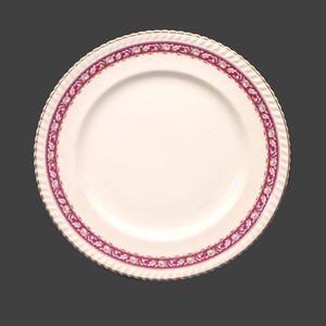 Antiker Johnson Brothers Speiseteller: Alte englische Keramik, JB519