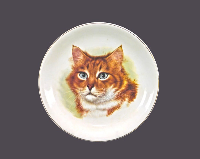 Wood & Sons cat lovers plate. Central image of cat. Alpine White ironstone made in England.