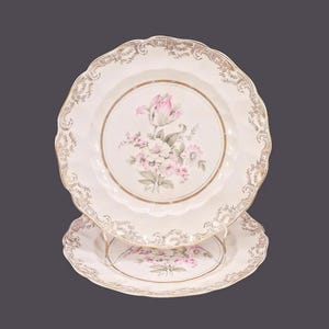 Sovereign Windsor Luncheon Plates: Englisches Ironstone Blumenpaar