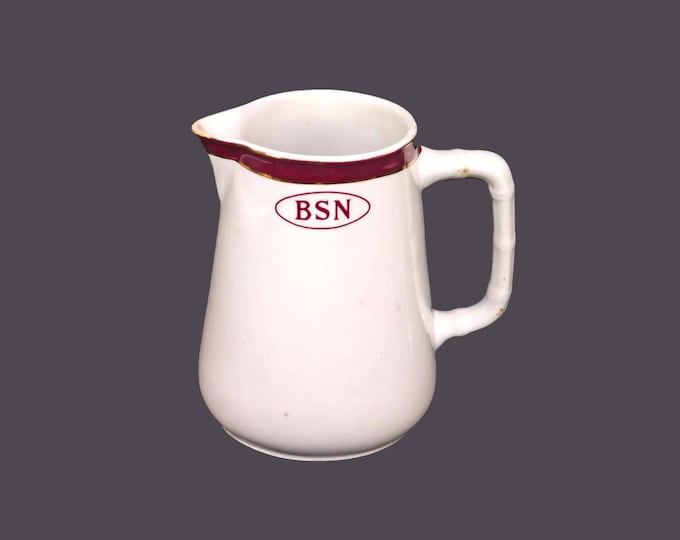 Sampson Bridgwood | Anchor Pottery large creamer or milk jug made in England. Bachelor of Science Nursing.