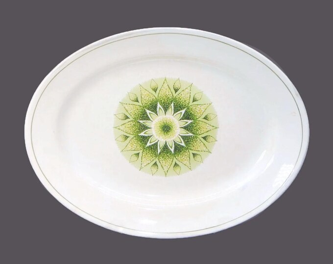 Retro vintage English Ironstone Pottery Tobago oval platter made England.