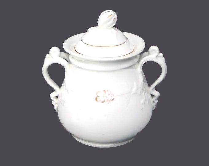 Antique Victorian-era Sampson Bridgwood Tea Leaf handled sugar canister | sugar barrel made in England.
