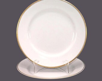 Pair of antique Johnson Brothers Goldein dinner plates made in England. Flaw (see below).