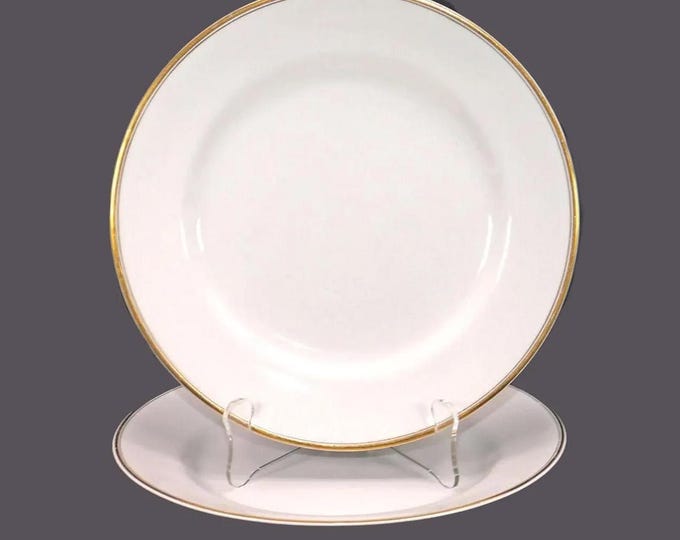 Pair of antique Johnson Brothers Goldein dinner plates made in England. Flaw (see below).