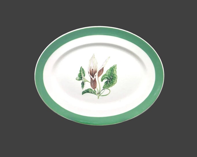 Myott Molly O'Day oval turkey platter. AC Williams design made in England.