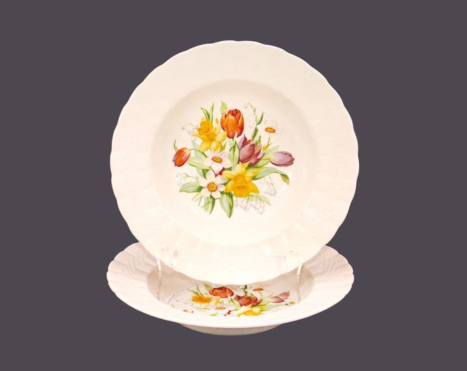 Pair of Simpsons Potters Providence 7747 rimmed soup bowls. Ambassador Ware ironstone made in England.