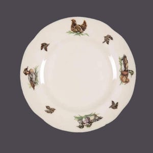 Vintage Johnson Brothers Brookshire broodbord gemaakt in Engeland. Wilde vogels.