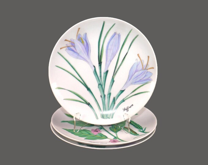 Three Horchow Botanical Herb Seed salad plates made in Japan.