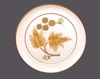 Vintage Denby Cotswold stoneware salad plate made in England.