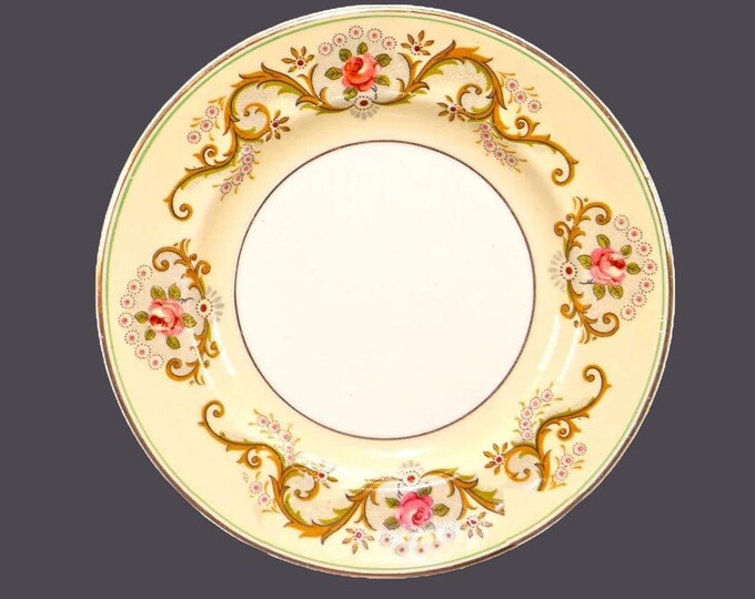 Johnson Brothers JB329 | Twyford bread plate. Pareek ironstone made in England.