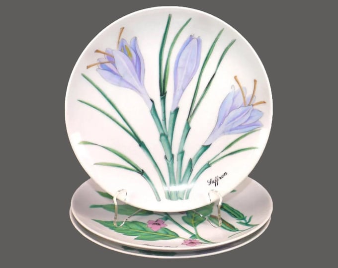 Three Horchow Botanical Herb Seed salad plates made in Japan.