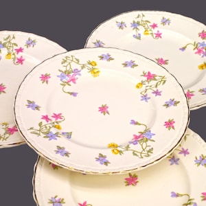 Puede incluir: Juego de cuatro platos de cerámica blanca con un delicado patrón floral en tonos rosa, amarillo y azul. Los platos tienen un borde dorado y son perfectos para una mesa de cena formal.