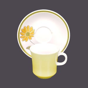 Mikasa Tampa Stoneware Cup and Saucer Set: Retro Flower Power, Made in Japan