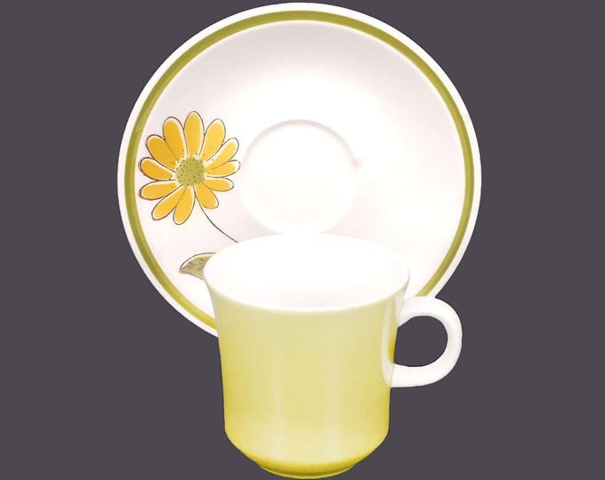 Mikasa Tampa retro flower power stoneware cup and saucer set. Cera-Stone stoneware made in Japan.