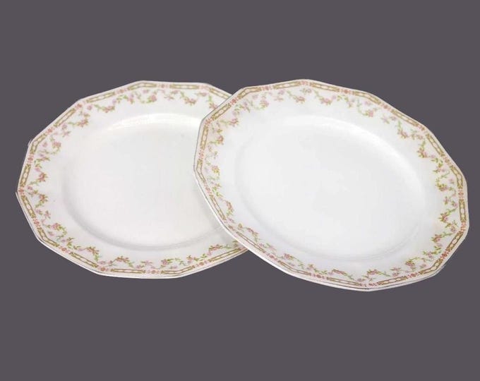 Pair of Johnson Brothers JB105 salad plates made in England.