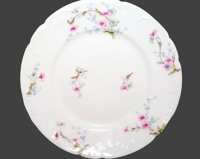 Antique Haviland Limoges Salad Plate: Art Nouveau Floral Decor