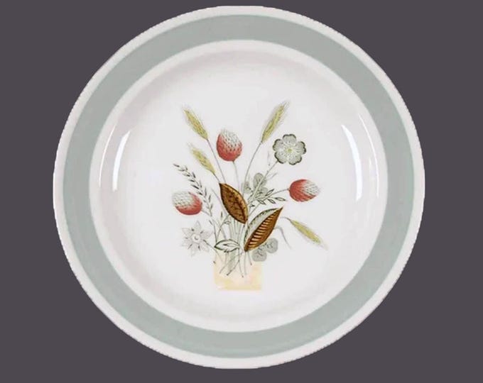 Wood & Sons Clovelly salad plate. Woods Ware Ironstone made in England.