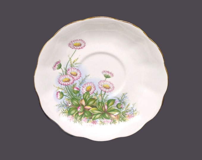 Royal Albert orphaned saucer only. Pink Michaelmas daisies | asters yellow centers. Bone china made in England.