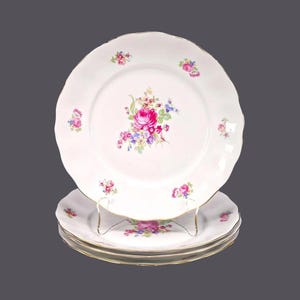 Four Favolina FAV2 Meissen Flower luncheon or small dinner plates made in Poland.