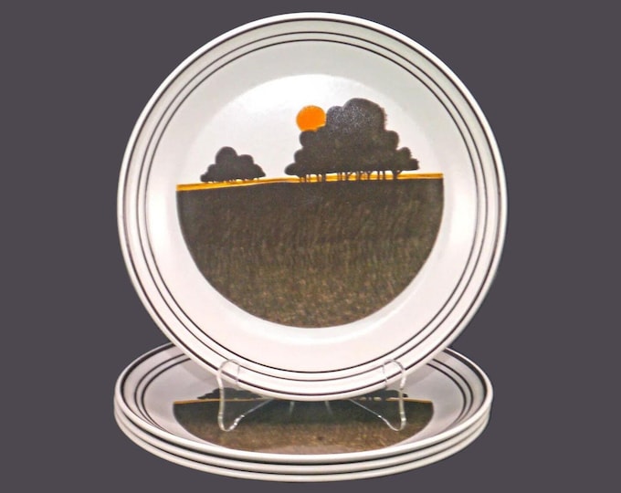 Vintage Royal Doulton Prairie Stoneware Dinner Plate: England Lambethware