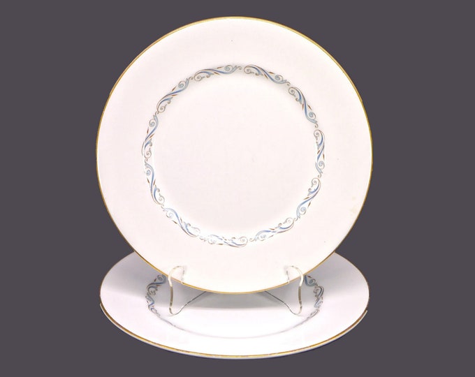 Pair of Myott Twilight dinner plates. China-Lyke ironstone made in England.