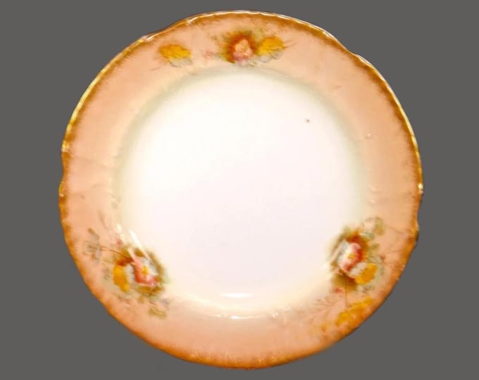 Antique Victorian era Adderley hand-painted numbered dessert plate. Rd pattern #341448 | 10388 to back. Made in England.