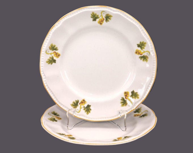 Vintage Kensington Staffords Sussex salad plates: England. Flaws. 2 plates.