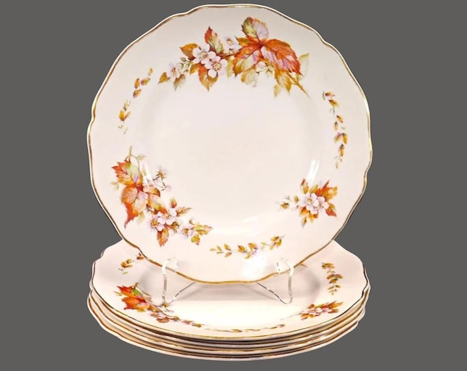 Royal Doulton D6226 Wilton salad plates made in England. Choose quantity below.