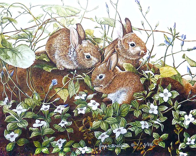 Joyce Bridgett framed matted numbered print of three bunnies in woodland. Print 1075 of 2950.