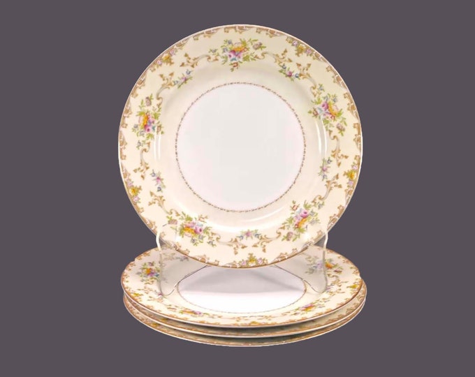 Meito dinner plates made in Japan. Multicolor floral sprays, yellow band, tan scrolls. Choose quantity below