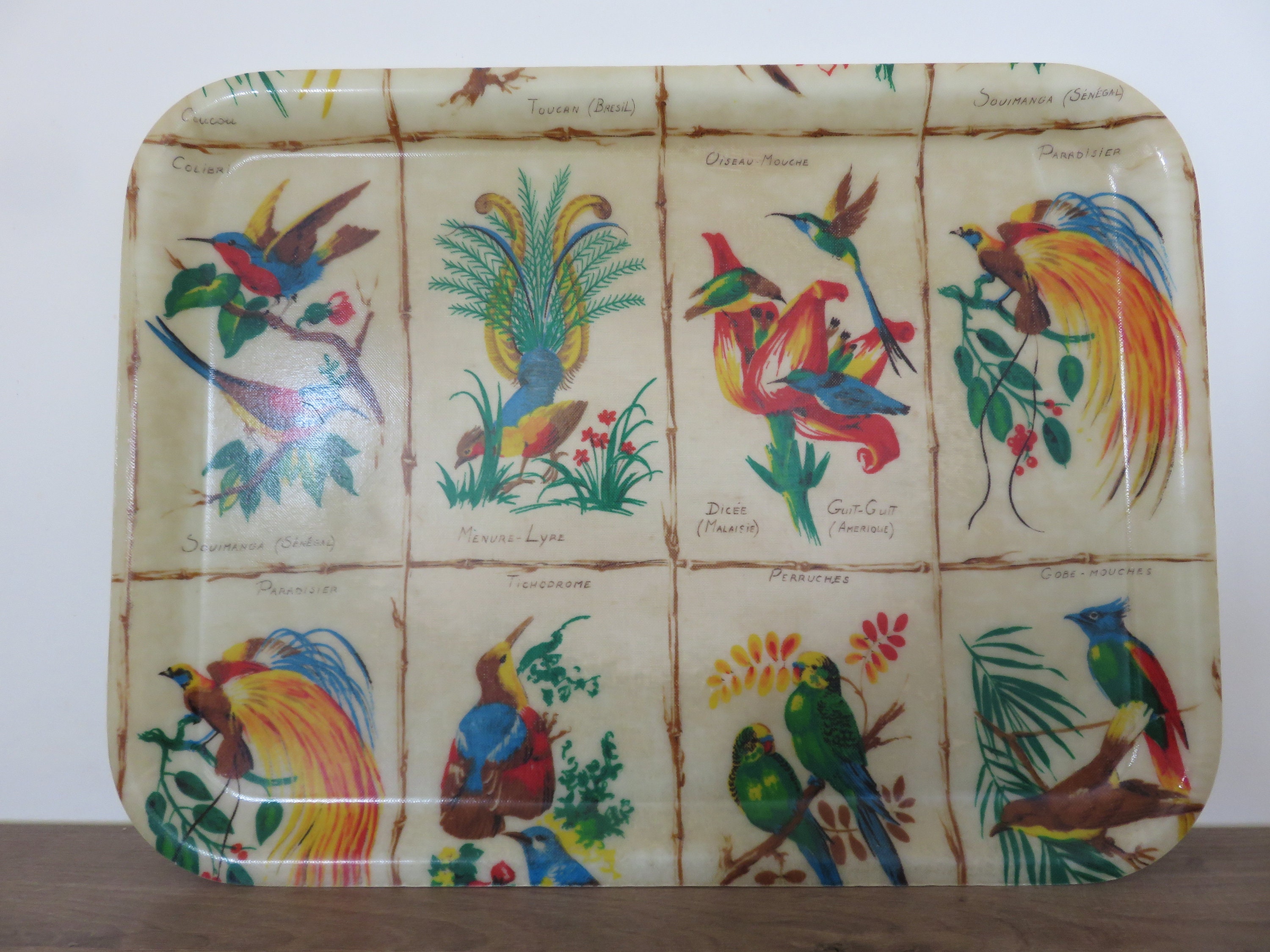 Plateau Oiseaux Exotiques en Fibre de Verre 1960 1970 60's 70's Mid Century French Vintage Exotic Bi
