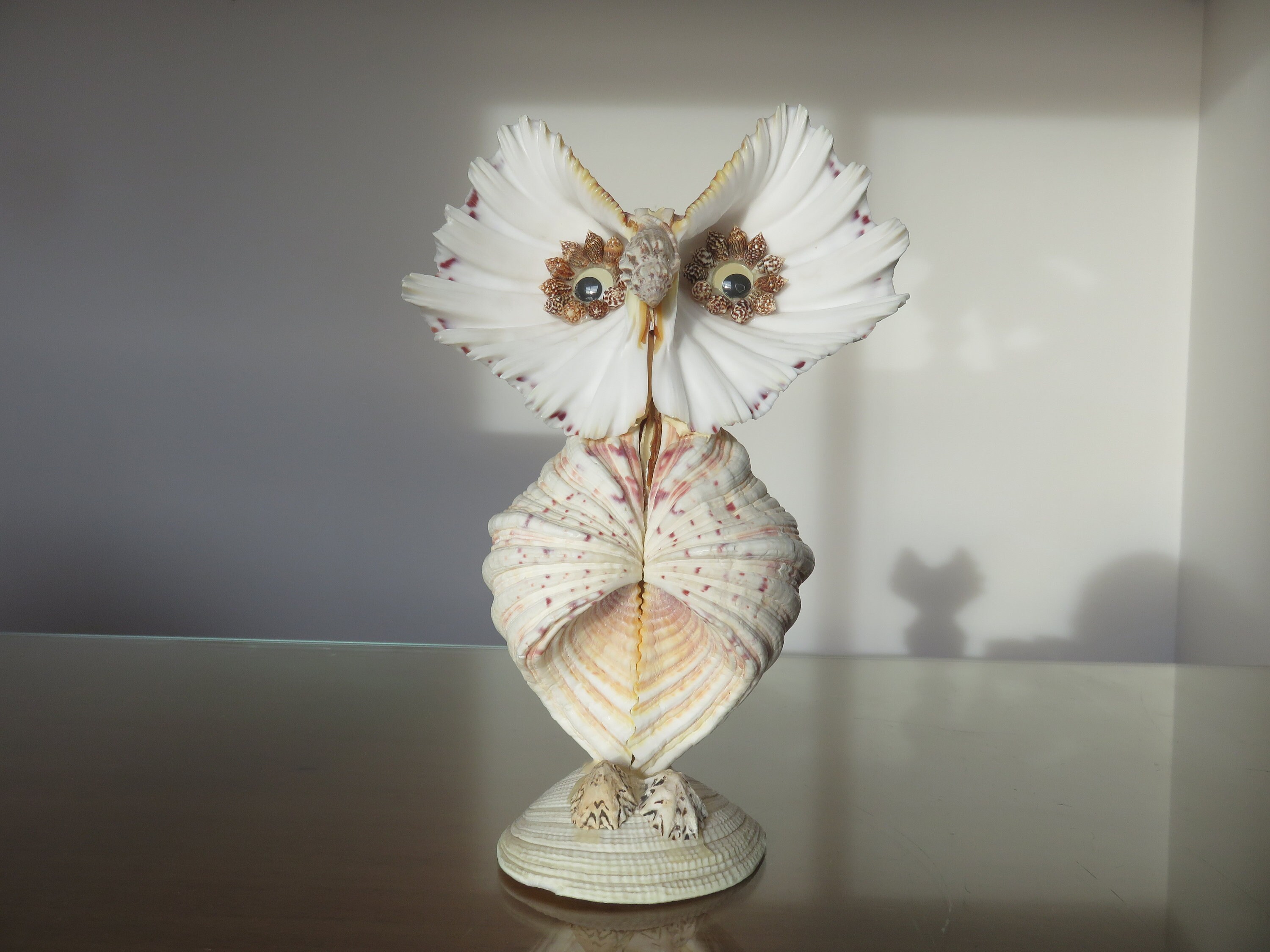 Rare Hibou en Coquillages