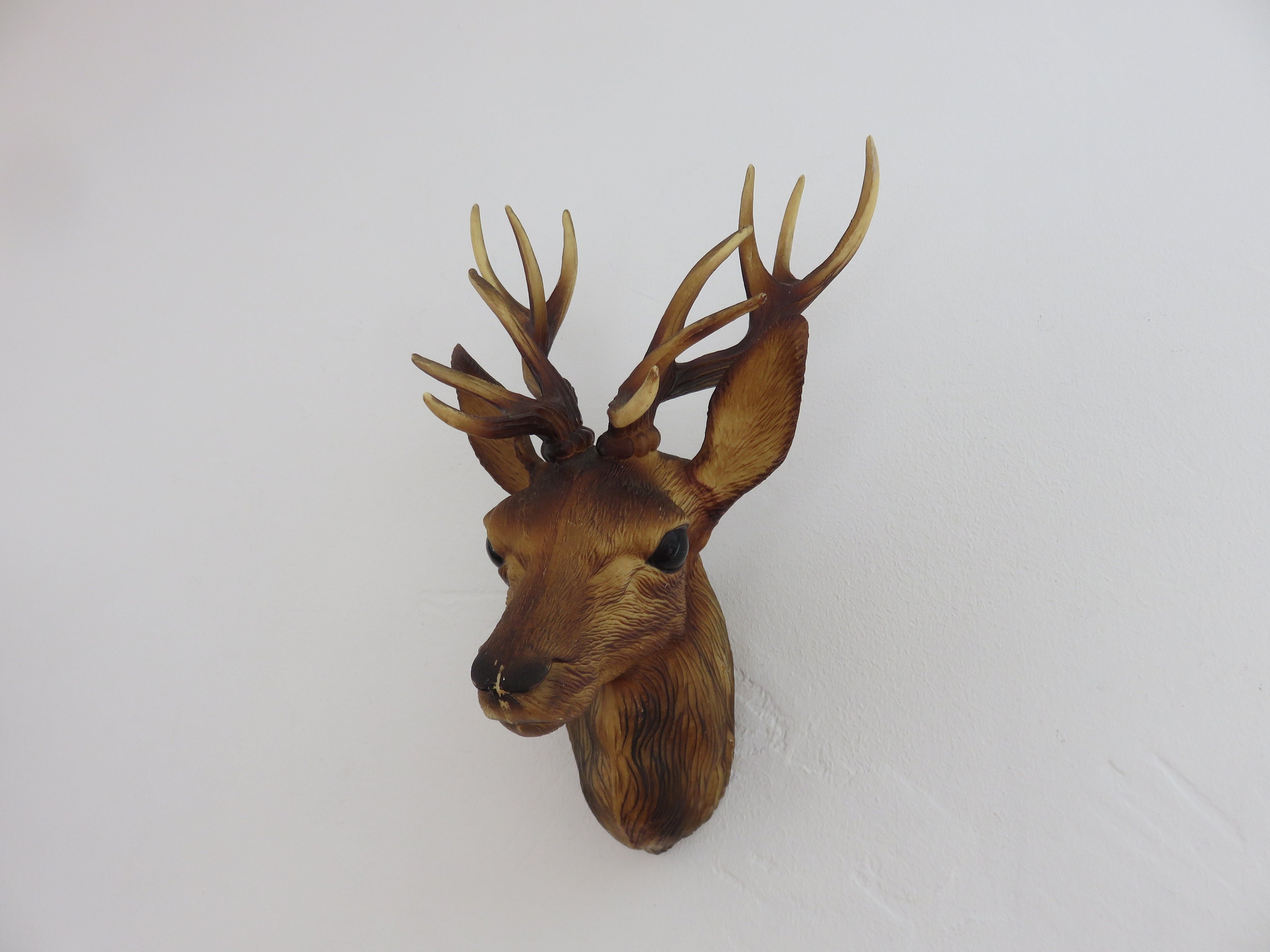 Tête de Cerf, Trophée Chasse, en Plastique, Taxidermie Mid Century 1950 1960 50's 60's French Vintag