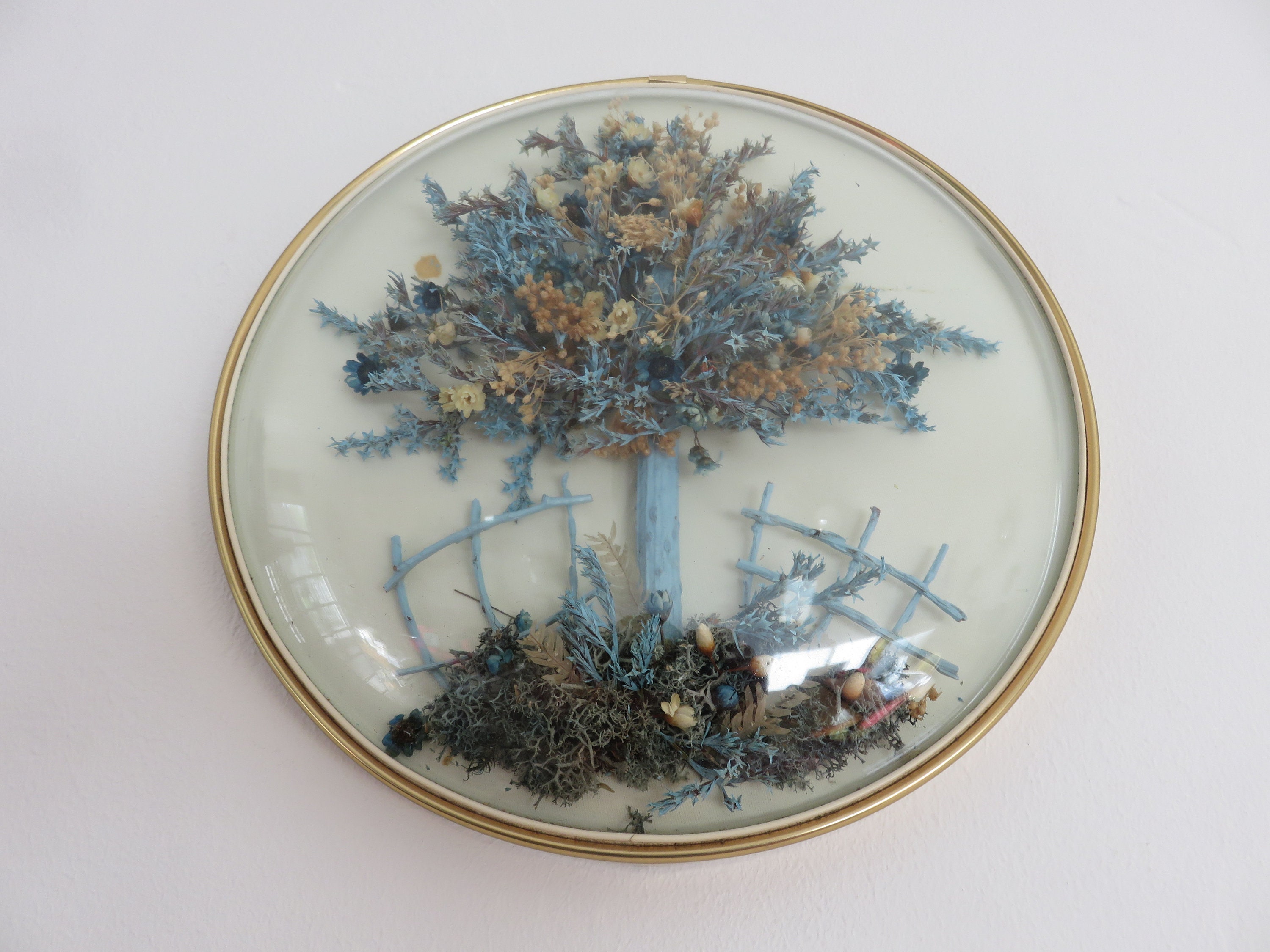 Cadre Mural Rond, Vitre Bombée, Fleurs Séchées Bleues, Encadrement en Laiton Mid Century 1950 1960 5