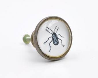 Möbelgriffe messing | Etsy