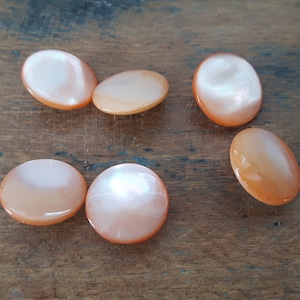 No. 24a - Alte Perlmuttknöpfe orange / German vintage MOTHER of PEARL buttons 6 pieces orange 13,5 mm