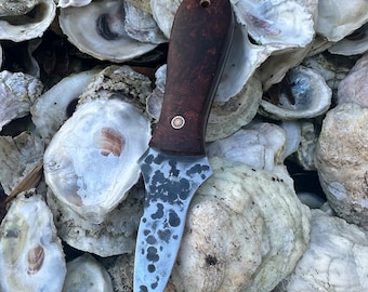 BVT custom oyster knife