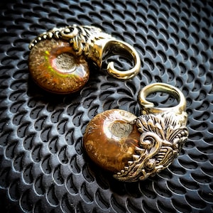 Peut inclure: Deux boucles d'oreilles en forme d'ammonite fossile dorées avec des motifs complexes et ornés. Les boucles d'oreilles sont sur une surface noire texturée.