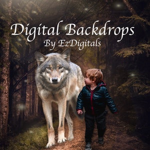May include: Digital backdrop featuring a wolf and a child walking on a forest path. The wolf is gray and brown, and the child is wearing a black jacket. Text reads "Digital Backdrops By EzDigitals".