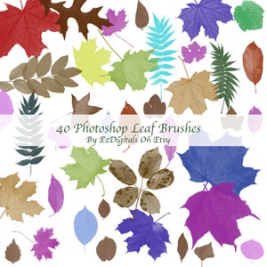 Photoshop leaf brushes, photoshop brush set, photoshop leaves, Leaves, leaf, Brushes,