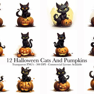 Spooky Halloween Cat and Pumpkin Clipart Bundle - 12 PNGs - Transparent Background - Digital Download - Commercial Use