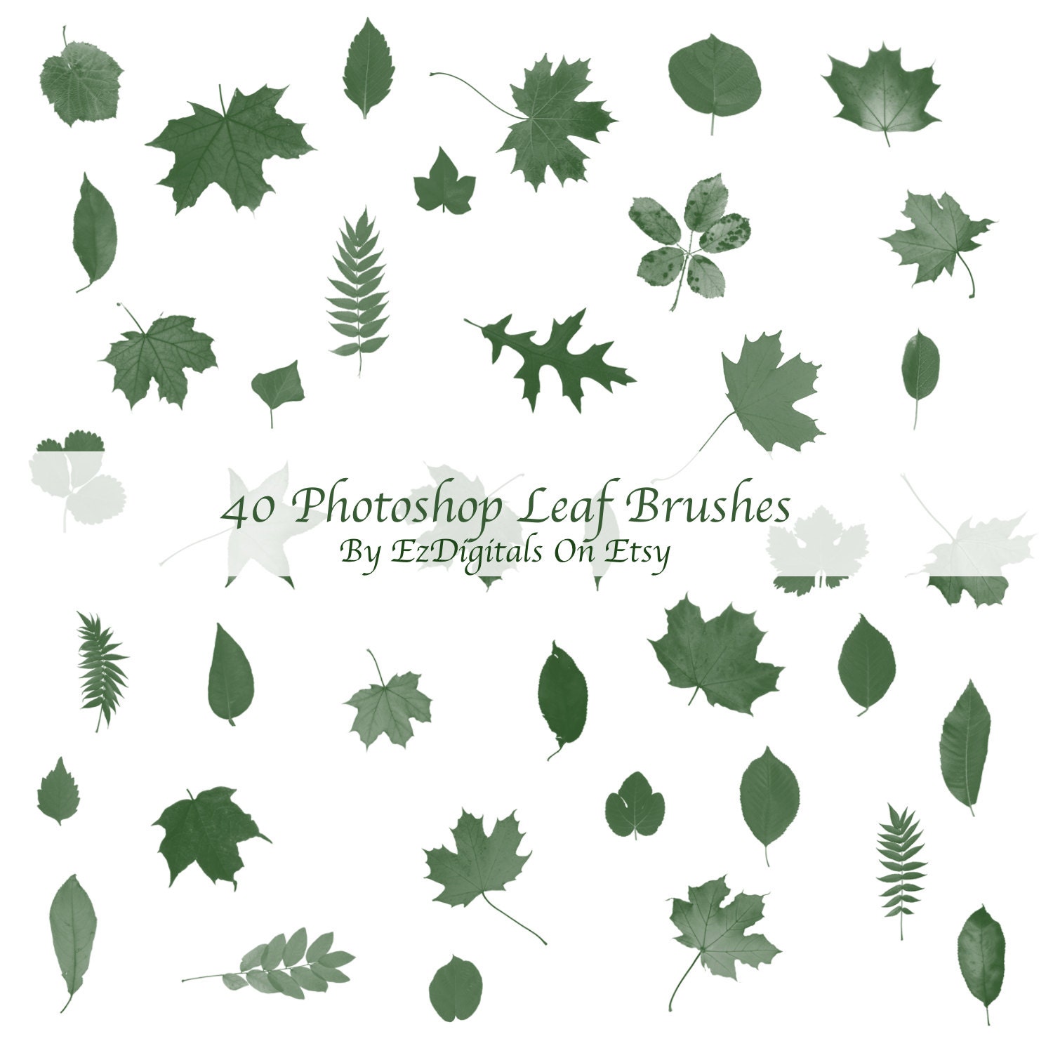 Leaf Brushes, Brush Set, Leaves, Leaves