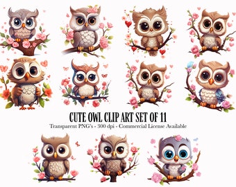 Whimsical Owl Clipart | Watercolor Cute Bird PNG Transparent Background | Commercial Use Digital Download