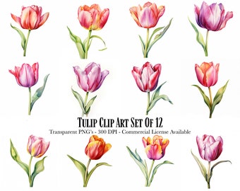 Tulip Flower Clipart - Flowers Clipart - 12 archivos transparentes de alta calidad - Descarga digital - Uso comercial