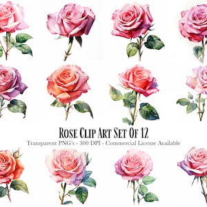 Rose Flower clipart - Flowers Clipart - 12 High Quality Transparent PNGs - Digital Download - Commercial Use