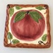 Vintage Franciscan Apple Pattern Trivet Hot Plate Made In Portugal Circa 1976-1984