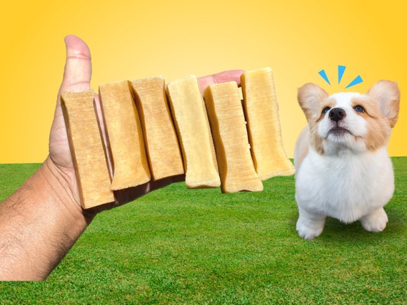 Hard chews top for puppies
