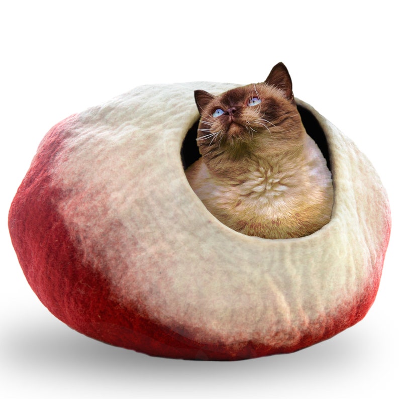 May include: A brown and white cat with blue eyes sits inside a red and white felt cat bed. The bed is shaped like a half-sphere with a hole in the top for the cat to enter.