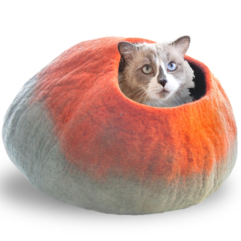 May include: A gray and orange felt cat bed shaped like a dome. A cat with blue eyes is peeking out of the opening.